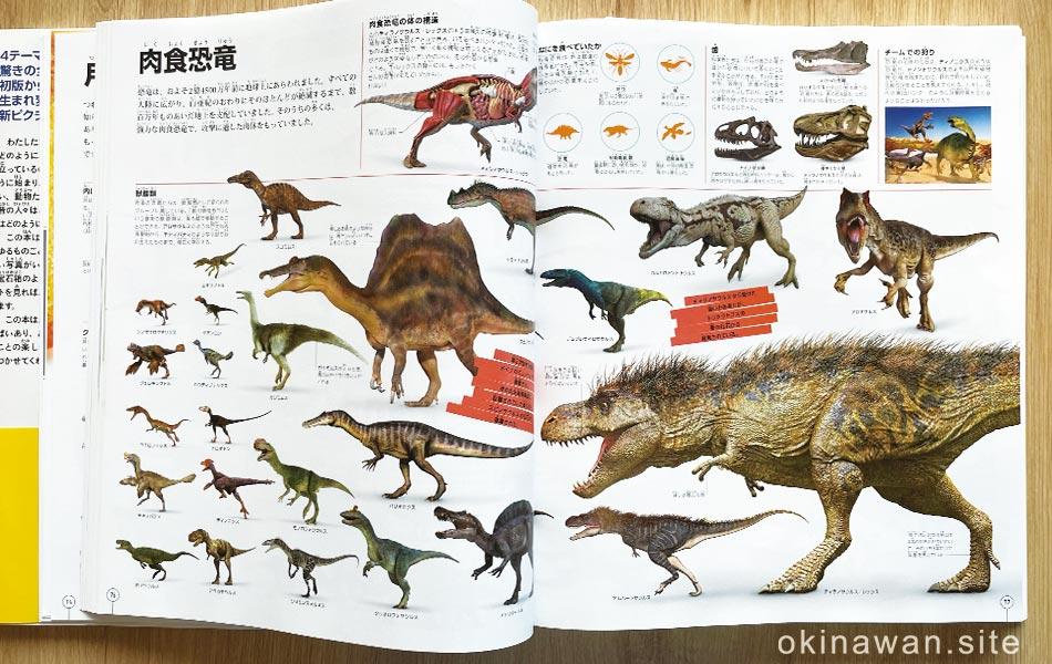 ピクチャーぺディアの肉食恐竜ページ画像